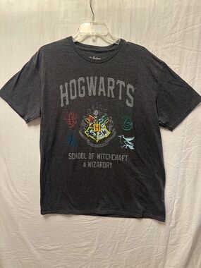 Harry Potter Hogwarts School of Witchcraft & Wizardry Graphic Tee XL